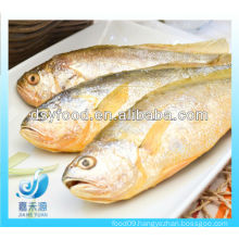 FROZEN SMALL YELLOW CROAKER FISH(SEAFOOD)